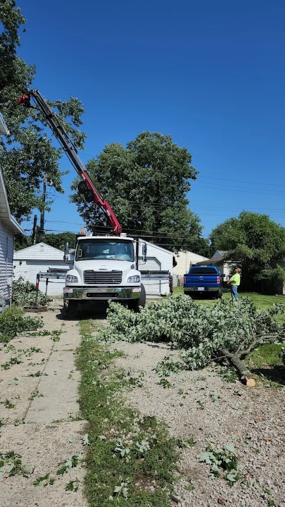 Gary's Tree Service crew clearing a storm-damaged tree from a Metro Detroit property