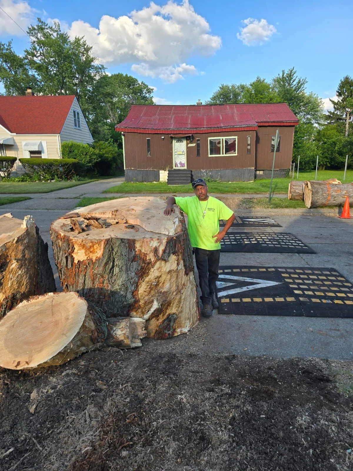 Chainsaw work on a fallen log